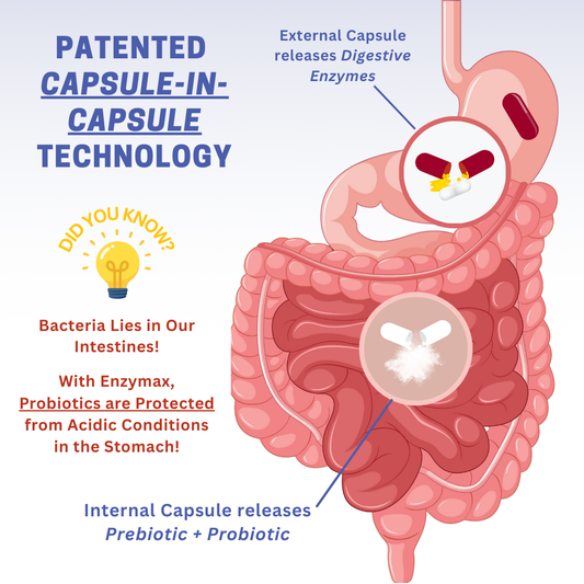 Enzymax Duobiotics Enzymes + Probiotic Capsules 20'S