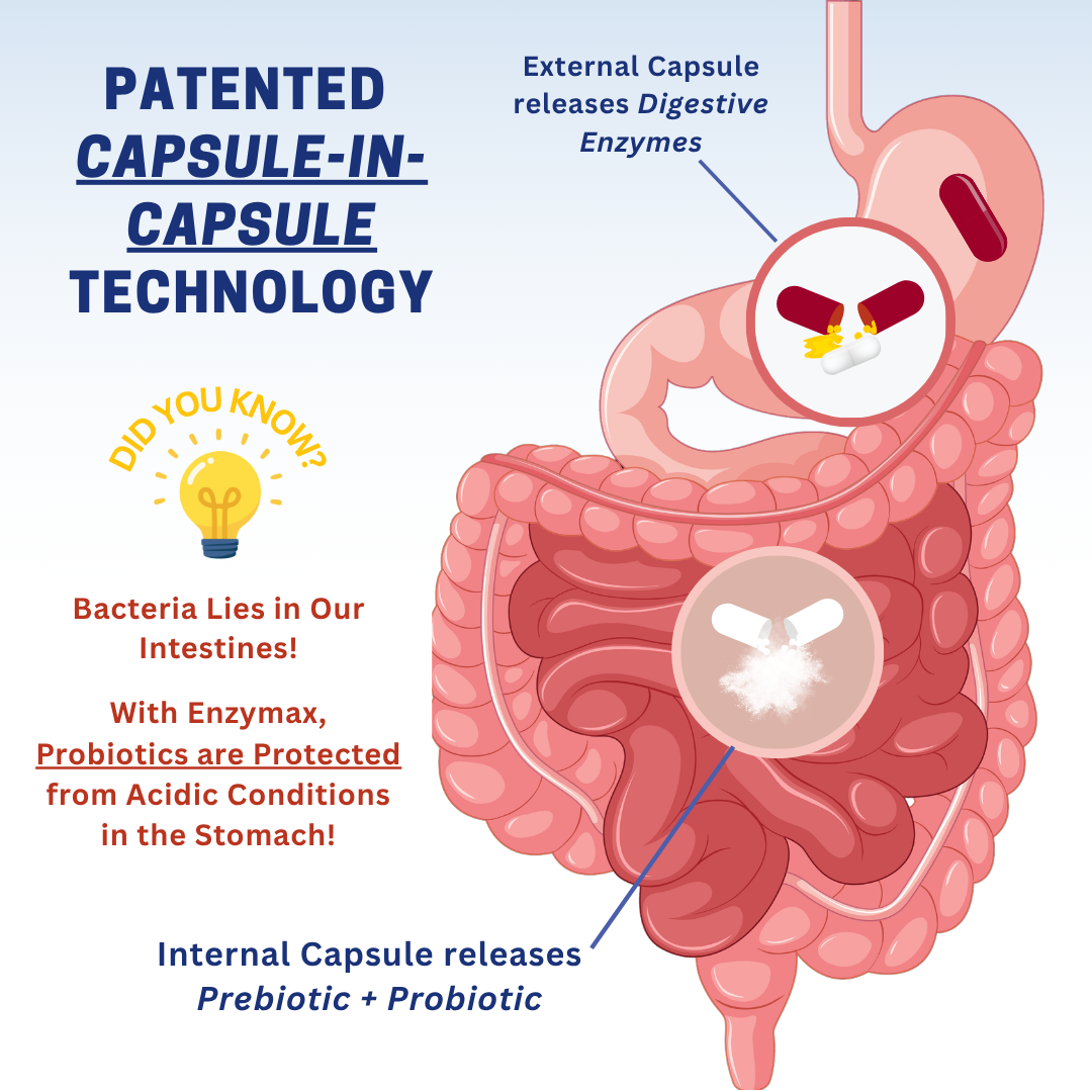 Enzymax 3-in-1: Enzymes + Probiotic + Prebiotic Capsules 10'S