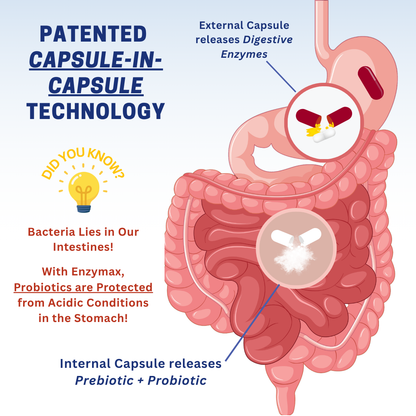Enzymax 3-in-1: Enzymes + Probiotic + Prebiotic Capsules 10'S